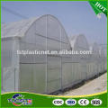 High quality attractive design single span film tunnel greenhouse